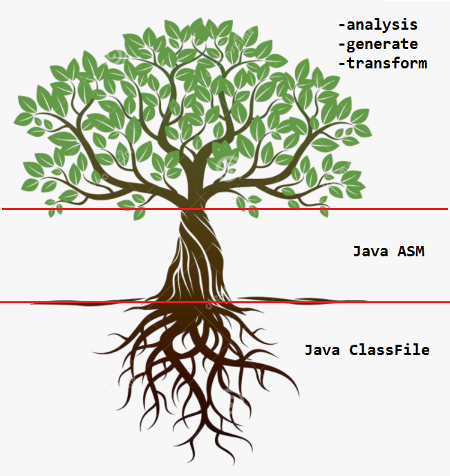 ASM 与 ClassFile 的关系 